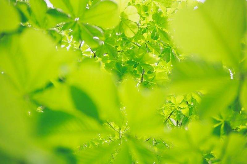 太陽光パネル設置