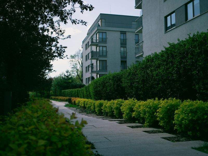 自然素材インテリア